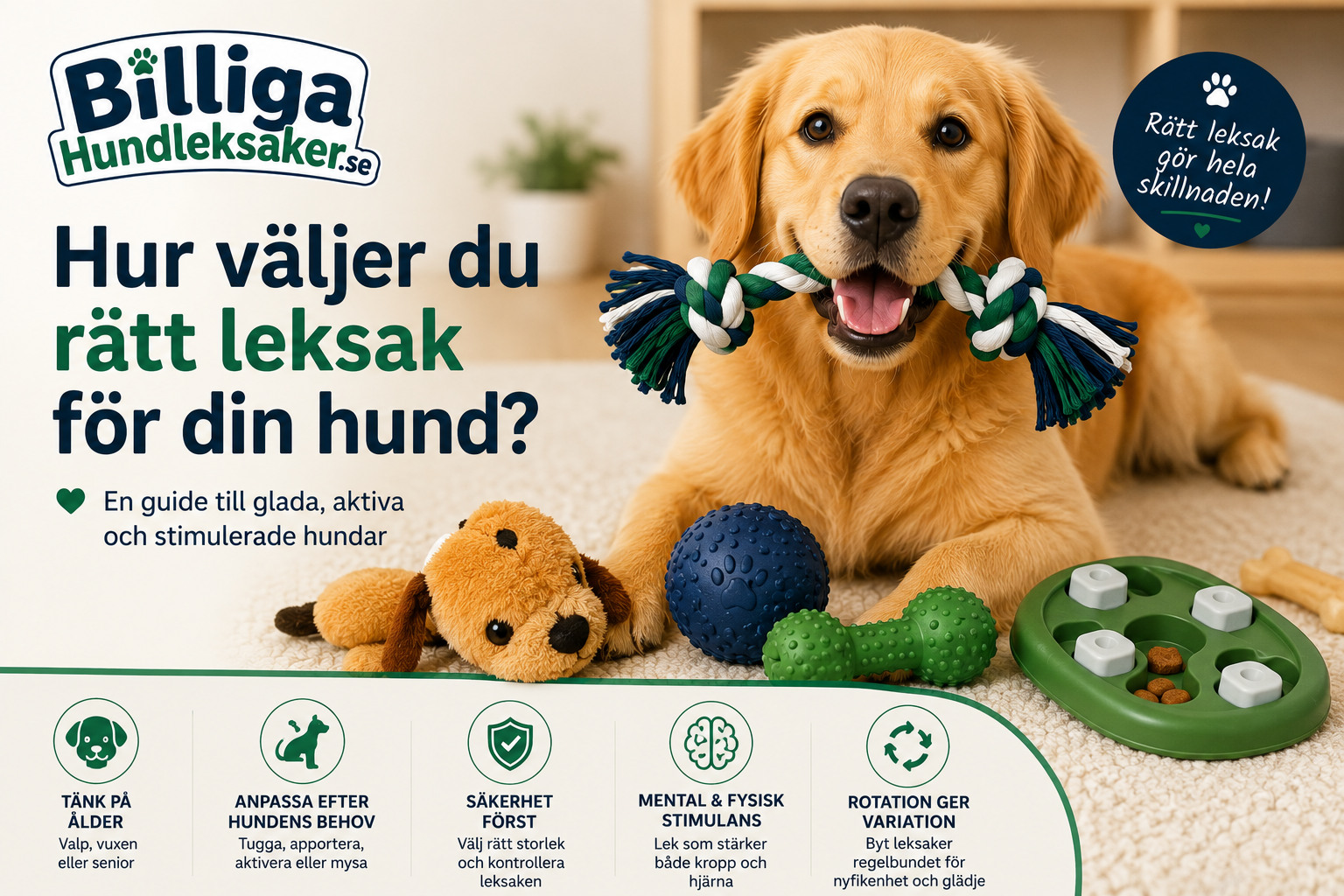Hur väljer du rätt leksak för din hund?