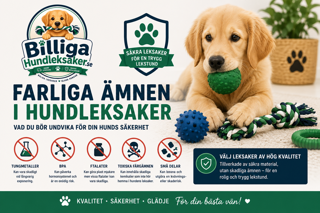 Vad för farliga ämnen du vill undvika i hundleksaker.