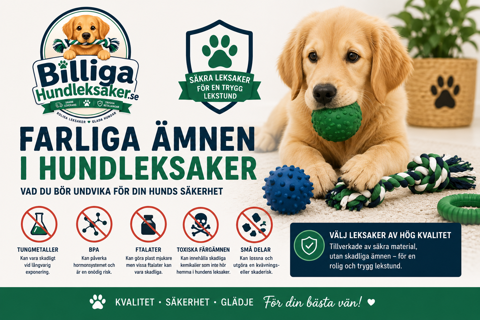Vad för farliga ämnen du vill undvika i hundleksaker.