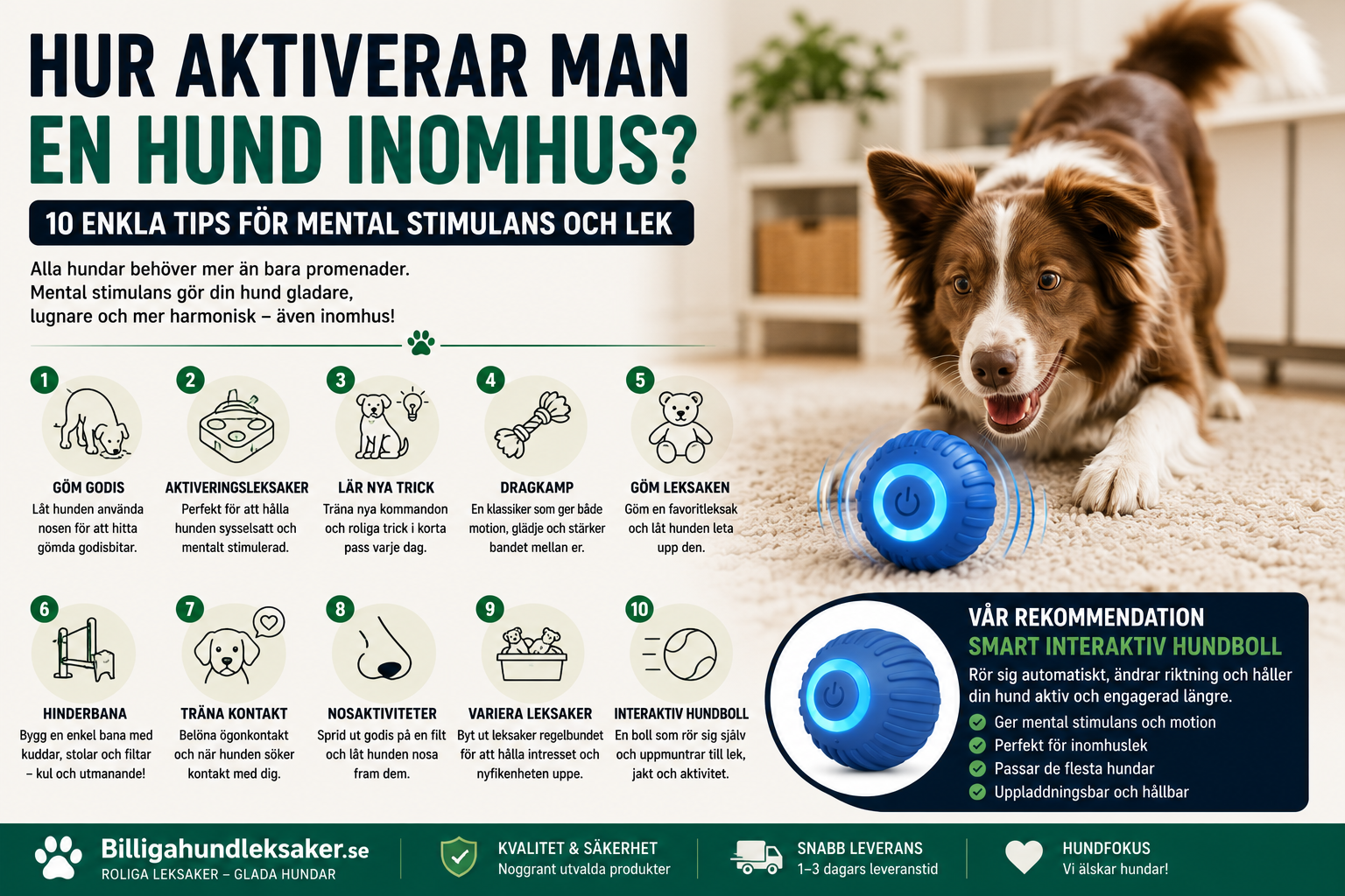 Hur aktiverar man en hund inomhus
