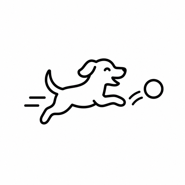 En hund som jagar en boll