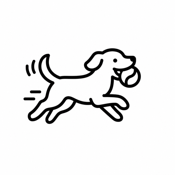 En bild på en hund med en boll i munnen