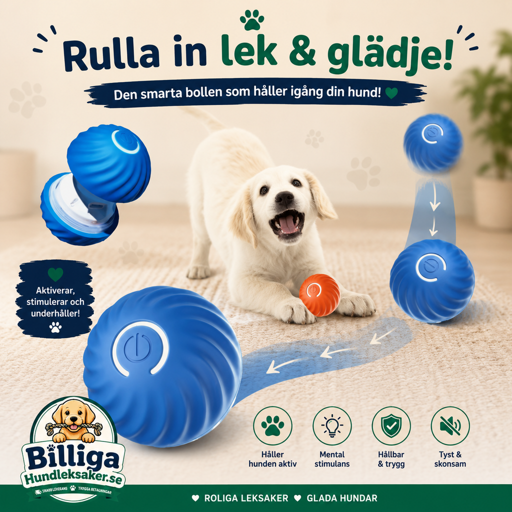 En bild som demonstrerar en elektrisk hundboll
